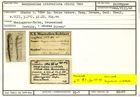 Karteikarte zum Holotyp von Marginulina cristellata Stache, 1864